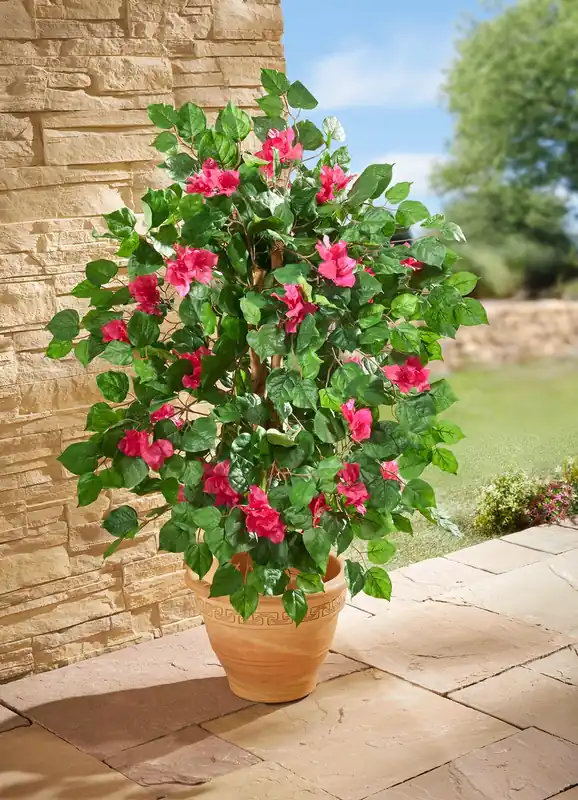 Bougainvillea Kunstpflanze Sofort Bestellen