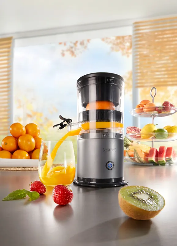 Versand Am Gleichen Tag Akku-Entsafter Livington "JuiceBoost"