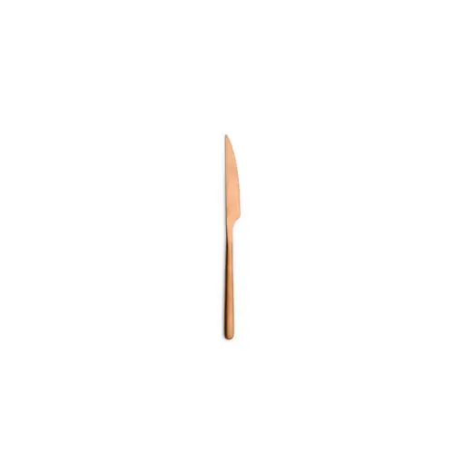 Sonderangebot Tafelmesser Canada Vintage copper