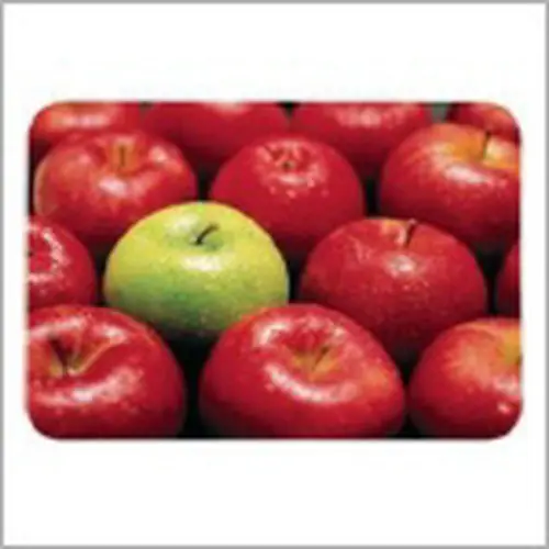 Mega-Angebot PP-Tischset Grüner Apfel Kunststoff PP (Polypropylen) rechteckig 440 mm 305 mm