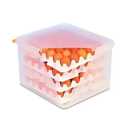 Nur Heute Eierbox transparent H 200 mm