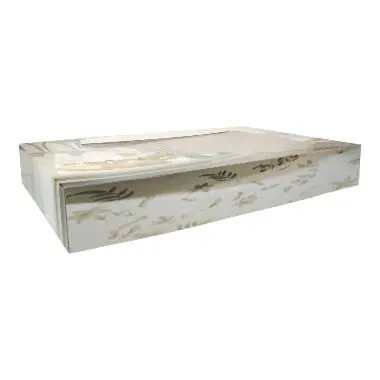 Begrenztes Angebot Transportkarton Partyplatte 36 x 25 x 8 cm
